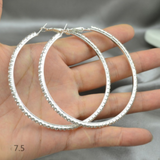 Rhinestone Crystal Silver Hoop Earrings