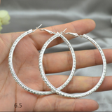 Rhinestone Crystal Silver Hoop Earrings